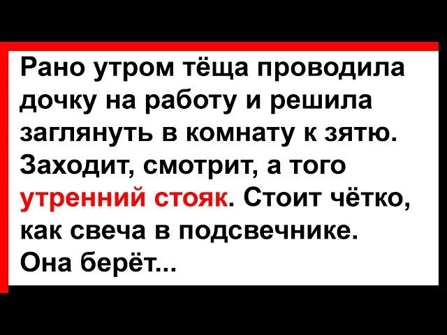 Тёща смотрит, а у зятя утренний стояк... Анекдоты! Юмор! Позитив!