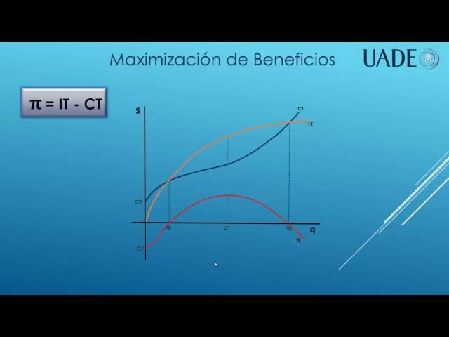 Maximización de Beneficios