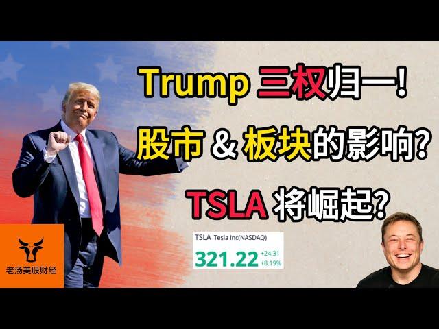 特朗普三权归一! 对股市 & 板块的影响? Tesla将崛起?【美股分析】