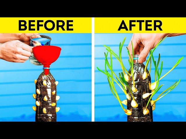 Growing Fresh Food at Home  Brilliant Gardening Hacks