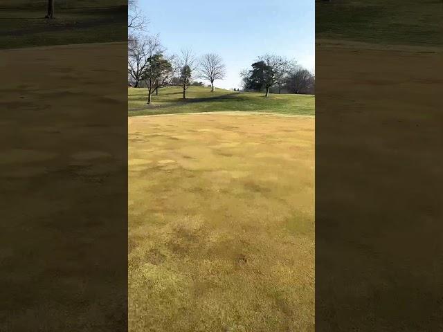 First roll of the year! #golfcoursevlog #golfcoursemaintenance