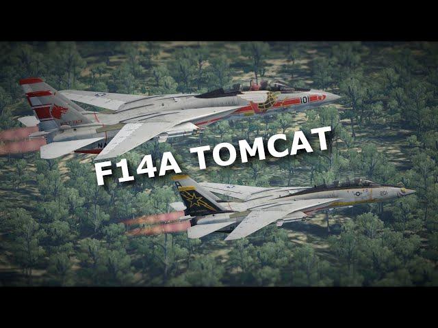 2 F-14A Tomcat w akcji (1 to noob) | War Thunder Gameplay