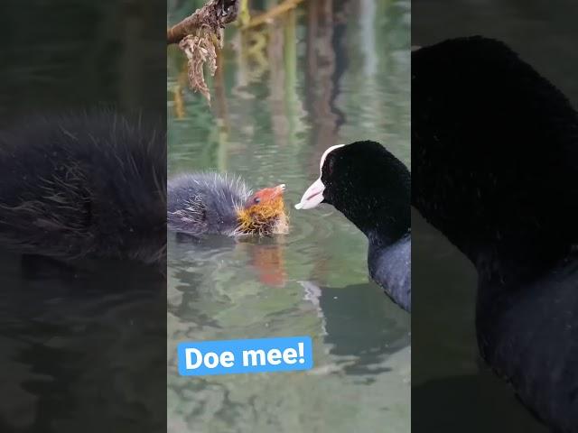 Doe mee en win te gekke prijzen!