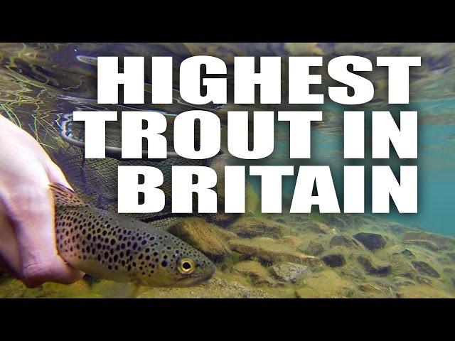 Is This The Highest Trout In Britain - Fly Fishing - Andy Buckley