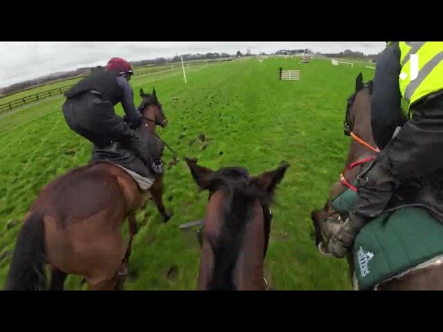 HAVE YOU EVER SEEN A SCHOOLING RACE? TAKE A RIDE ON HEWICK IN IRELAND