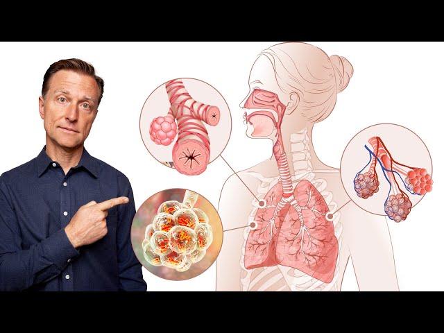 The BEST Remedy for Your Lungs (Infection, Asthma, and COPD)