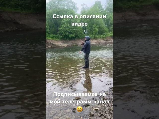 Мой телеграмм канал   https://t.me/beregsakhalina. #нахлыст #fishing #рыба #сахалин #сима #туризм