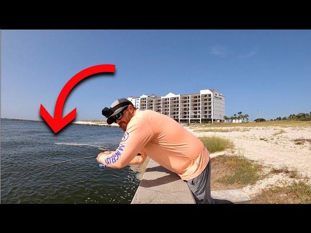 Fishing The ORANGE BEACH Seawall