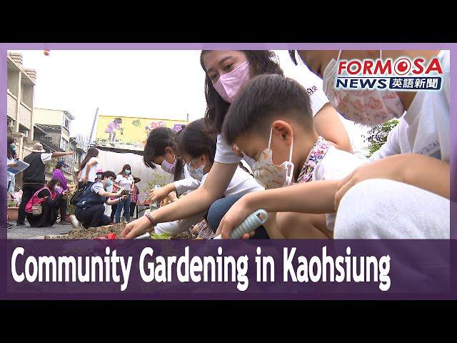 Community vegetable garden in Kaohsiung hailed as ‘Taiwan’s priciest garden’