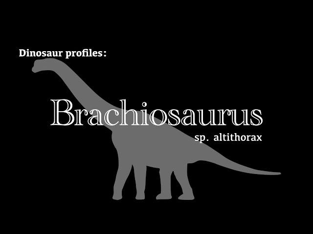 Dinosaur Profile: Brachiosaurus