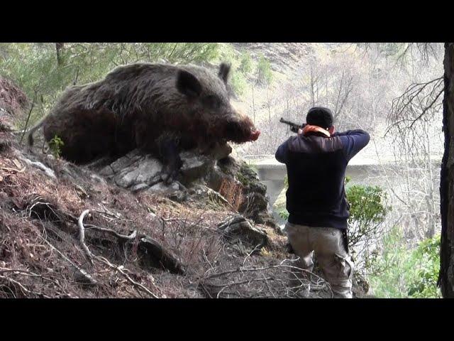 Необычные Случаи на Охоте, Снятые на Камеру.