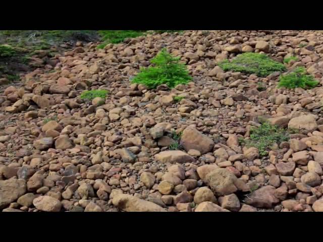 Parc national du Gros-Morne - Terre-Neuve-et-Labrador, Canada