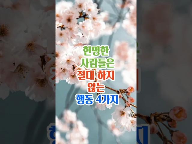 현명한 사람들은 절대 하지않는 4가지#명언#좋은글#지혜#인생조언
