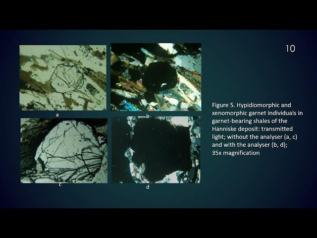 ICSF2024. Features of mineral composition of garnet-bearing shales of the Kryvyi Rih basin and recom