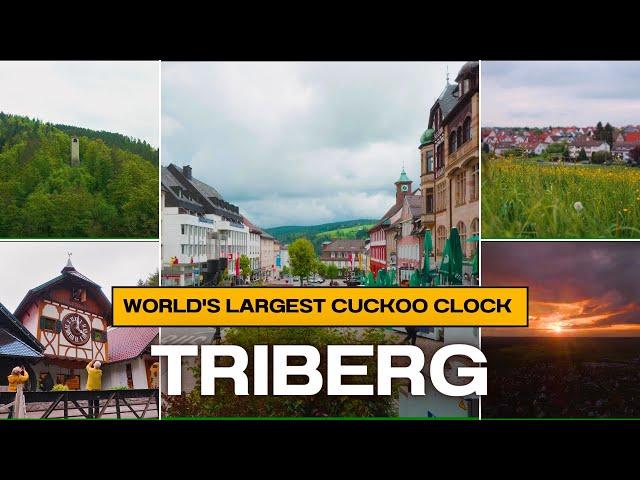 Germany  Triberg Town | World's Largest Cuckoo Clock - Schonach | Pliezhausen Town | 4K