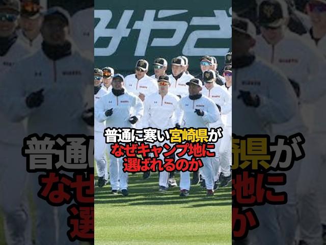 普通に寒い宮崎県がなぜキャンプ地に選ばれるのか#sports #shorts #プロ野球 #野球 #やきゅスト