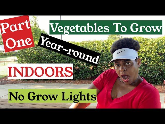 PART 1 | 10 Vegetables to GROW INDOORS YEAR ROUND | NO Grow Lights | Container Gardening