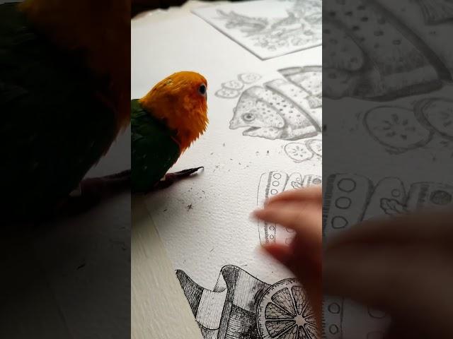 Art Time with My Parrot – Copycat Mode On #short #parrot #painting #artist #art