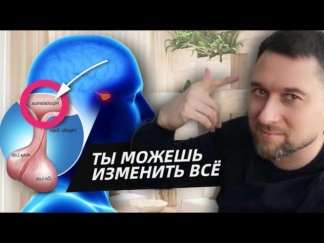 Снова Начни Жить! 1 привычка, которая сделает тебя счастливым