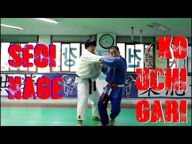 Seoi Nage and Ko Uchi Gari Combination by Korean 7th Dan (HD)