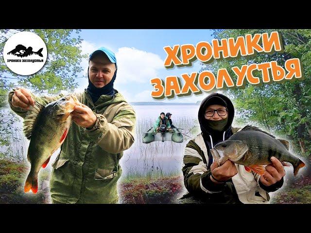 ОКУНИ-ГИГАНТЫ до 2КГ  лесного озера Ленинградской области ! Семь рыбалок / Spooner lake fishing .