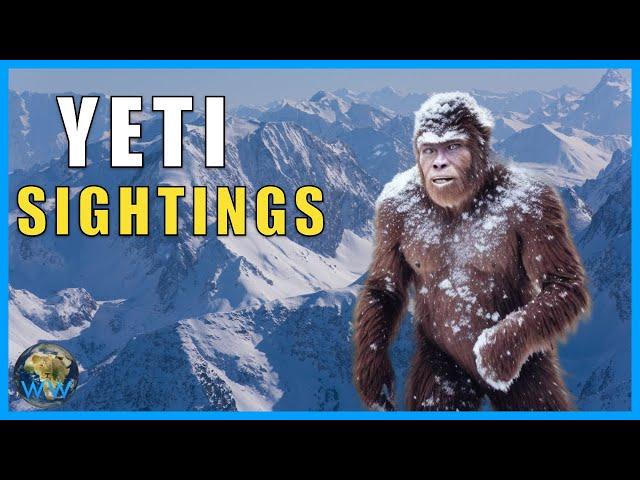 Unveiling the Mystery: The Truth Behind the Yeti