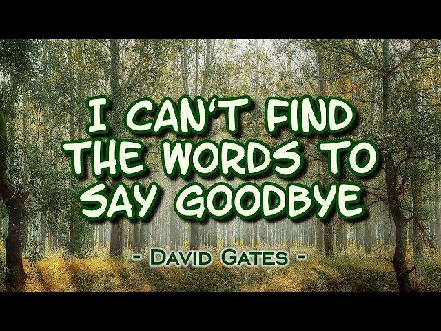 I Can't Find The Words to Say Goodbye - David Gates (KARAOKE VERSION)