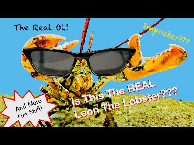 Is This The Real Leon The Lobster?