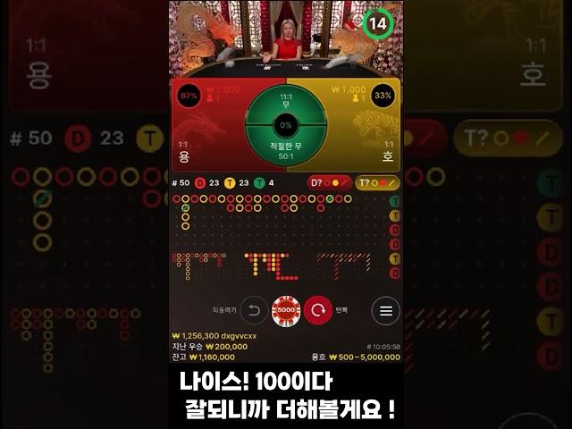 용호 먹죽하다 올라가기!!#에볼루션 #카지노 #용호 #적절한무 #반바지