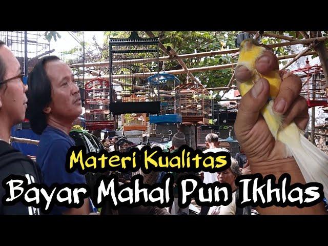 Cek Ombak Harga Kenari Tiga Pasar Sekaligus