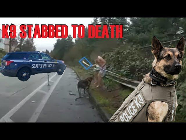 Naked Burglar MURDERS Seattle K-9 Officer