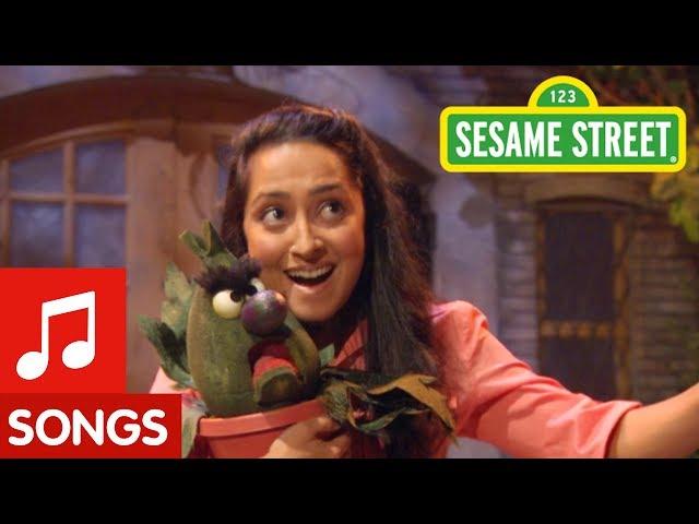 Sesame Street: Unique Song