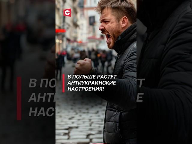 В Польше растут антиукраинские настроения! #польша #политика #украина #война #мигранты #новости #сво