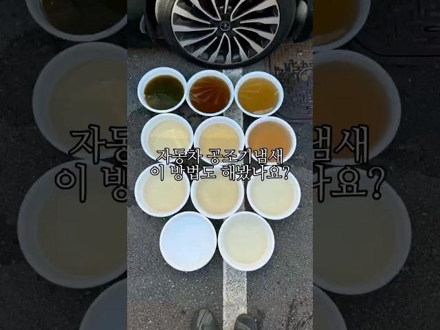 자동차공조기냄새 ‘이것’ 까지 해보셨나요?#에바크리닝 #에바클리닝 #에어컨청소 #에어컨냄새
