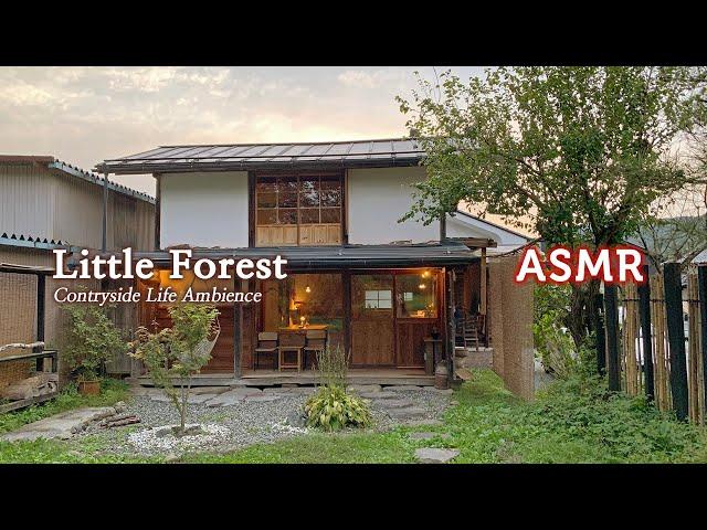 ASMR alog My Little Forest●Evening Kitchen, Night Radio, Morning Garden | Contryside Life Ambience