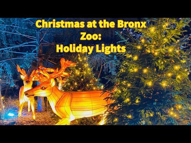 Bronx Zoo Holiday Lights Christmas Show 2021, New York