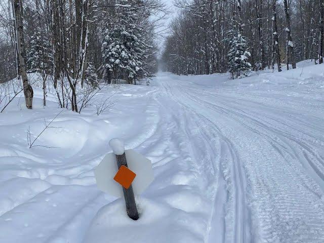 INSANE Snowmobile Trip in a BLIZZARD (Munising, MI) (PERFECT TRAILS)