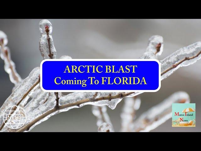 ARCTIC BLAST Coming To FLORIDA Marco Island News