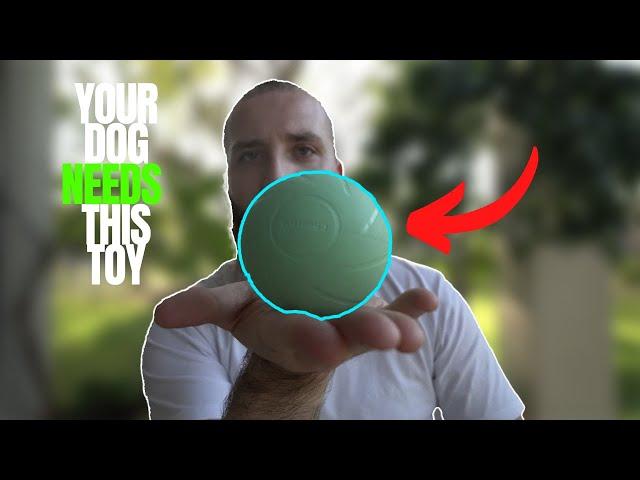 YOUR DOG NEEDS THIS INTERACTIVE TOY!! Cheerble Wicked Ball PE