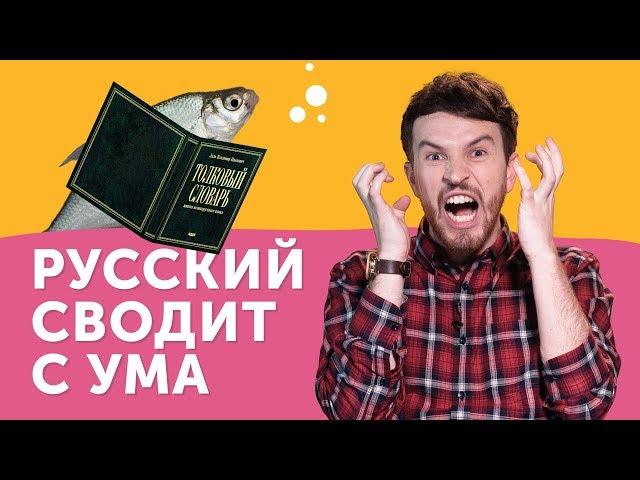 СТРАДАНИЯ ИНОСТРАНЦА:  почему русский язык такой сложный?