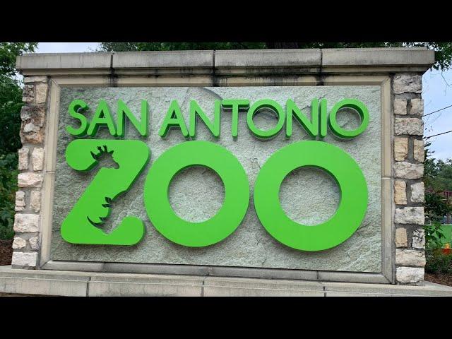 SAN ANTONIO ZOO || HOLO HOLO ADVENTURES