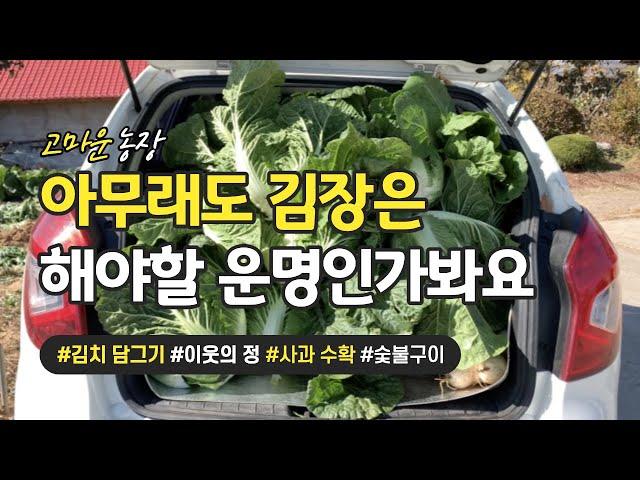 김장인 듯, 김장 아닌, 김장 같은 이 기분 - 고마운 농장