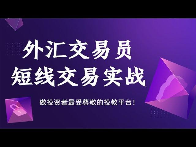 外汇交易员 日内短线交易实战技巧  外汇基础教学课程