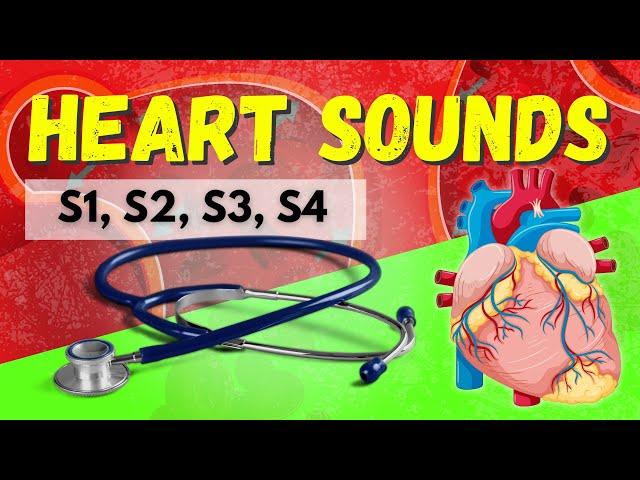 Heart Sounds Made Easy - S1, S2, S3, S4 and Murmurs (Systolic and Diastolic)