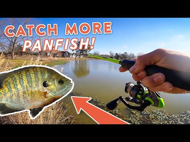 Panfish Fishing 101: How To Catch MORE Panfish with Andrew Nordbye!