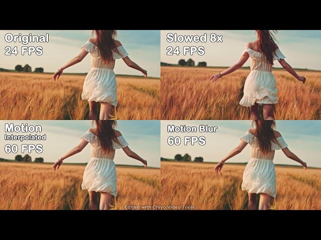 Motion Interpolation, Slow Motion, and Motion Blur Comparison - Chiyo Video Tools