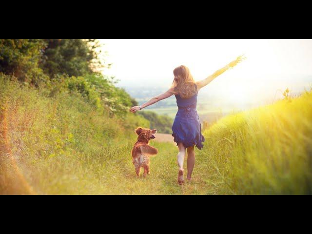 "I Am" Affirmations For Confidence, Courage and Inner Peace by Zimvo #Shorts
