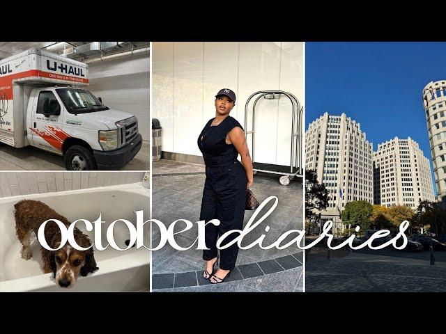 VLOG: We're Official.. Emergency Vet, Target Finds, Stop Comparing Yourself, etc. | NaturallySunny