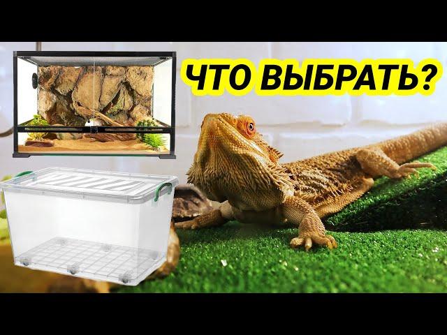 Террариум для бородатой агамы – как выбрать и как обустроить? Обустройство террариума