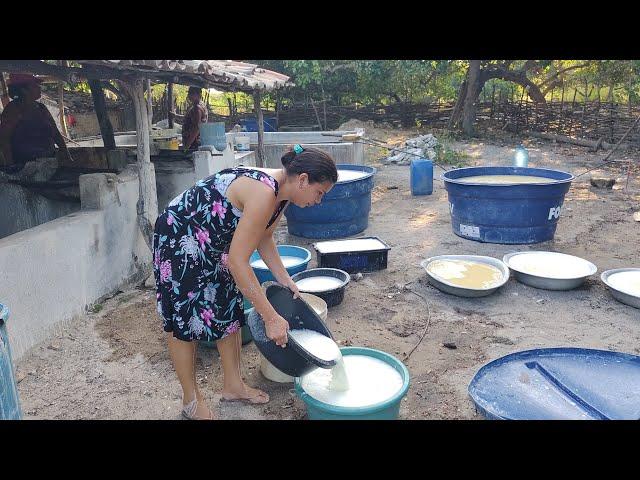 VEJAM COMO É FEITO A RETIRADA DA GOMA (POLVILHO) DA MASSA DE MANDIOCA NA CASA DE FARINHA